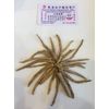 Ginseng Half Wild from Wisconsin USA 7 years 1LB Small Root