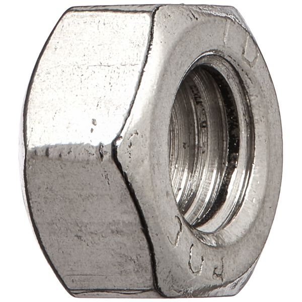 Hayward ECX176865 5/16-Inch - 18 Retainer Nut Replacement for Select Hayward D.E. Filter Anchor Socket