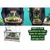 DIY Xtra Large Terrarium Starter Kit - Open NO PLANTS