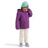 The North Face Kids' Zipline Rain Jacket, Grape, 4