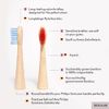 A Good Company Toothbrush Head 4-Pack from Bamboo, Multicolored, Regular