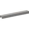 P22 Staples Box 5000 8mm - 5/16in