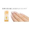 Shiki Saimai Nail Ice Surface Mirror (Water-based Nail)