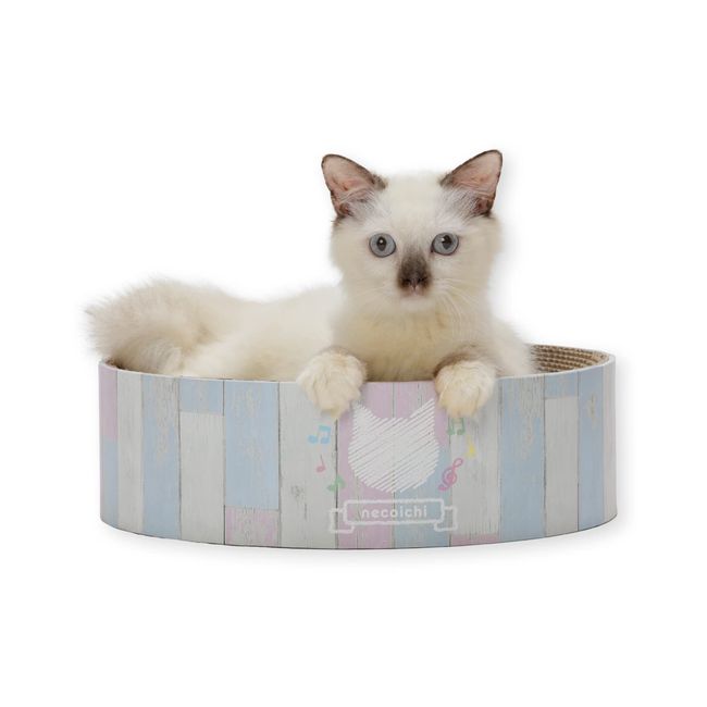 Necoichi BariBari (Scratch) Bowl, For Kittens