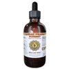 Boneset (Eupatorium perfoliatum) Liquid Extract 4 oz
