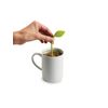 Chef'n TeaLeaf Tea Infuser - Melon/Brown