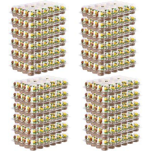 24 Pack Mini Cupcake Containers 24 Count Boxes Bulk Plastic Cupcake...