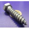 Galvanized Hex Head Lag Screw  1/2 Threads x 2.00" Length, 20 pcs