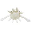 B5881036 AF Plush Squid