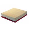 Replacement Air Filter Mechanics Choice for Dodge (EB69420)