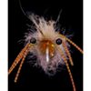 Loon Outdoors UV Colored Fly Finish - Red