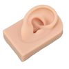 3D Educational Models Simulation Display Props Kit Include 1 X Nose and Mouth Model and 1 X Pair of Ear Model for Piercing Suture Practice (Silicone Material) (Medium Skin Color)