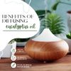 Eucalyptus Essential Oil - 100% Pure Essential Oil 32 fl oz - Aluminum Bottle - Greenhealth