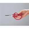 ARS SS380 Long Reach Bonsai Scissors
