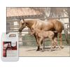 UltraCruz Equine Shampoo Plus, 1 gal
