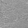 Ranger Tim Holtz Distress Crackle Paste Translucent, One Size