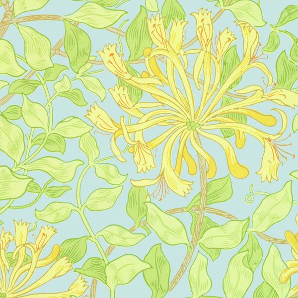 Honeysuckle 3ply Luncheon Napkin 20pk