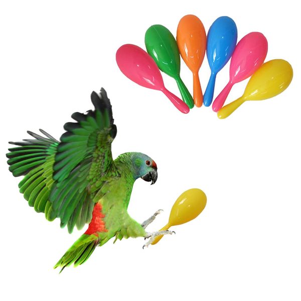 TTFdacai 6 Pcs Parrot Rattle Shaker Musical Sound Toy Funny Bell Toys Mini Sand Hammer Bird Parrot Toys for Chicken Bird Parrot Parakeet Cockatiel Budgies Love Birds (Random Color)