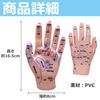 EdisonBrain Rubbing Reflection Area Acupuncture Manipulative Model Hand Model