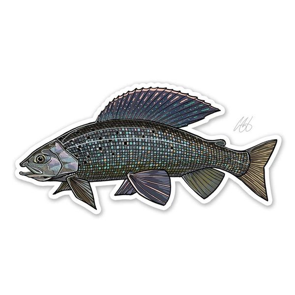 Eds Fly Shop Casey Underwood Grayling Decal Sticker