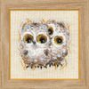 RIOLIS Cross Stitch Kit - 1755 - Little Owls