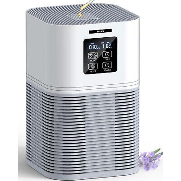 2 in 1 H13 Air Purifier for Home Allergies Pets Odor Eliminator with