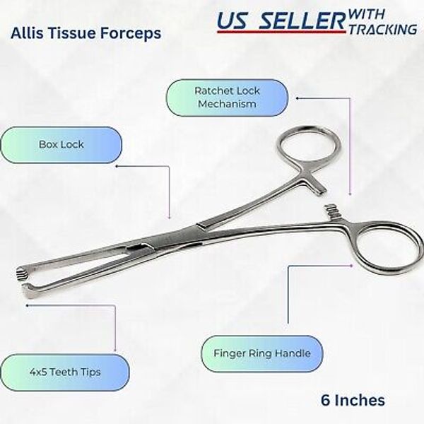 Allis Tissue Forceps 6" Stainless Steel Surgical Clamp Gynecology Instruments CE