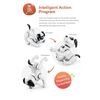 Remote Control Robot Dog Toy for Kids with Voice, Walking/Dancing/Interactive