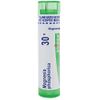 Boiron Magnesia Phosphorica 30X for Spasmodic Pain in The Abdomen - 80 Pellets