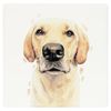 COASTER (GOLDEN LABRADOR)