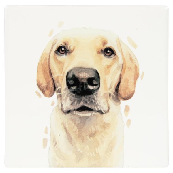 COASTER (GOLDEN LABRADOR)