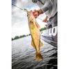 Berkley Gulp! Minnow Soft Bait , Smelt, 2-1/2-Inch