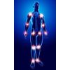 super antioxidant - STEM CELL - blue green algae organic - 3 Bottles