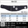 Iris Ohyama Lumbar Supporter, Corset, Back Pain, Physical The-Designed Supporter, For Lower Back, Waist Belt, Size M, Unisex
