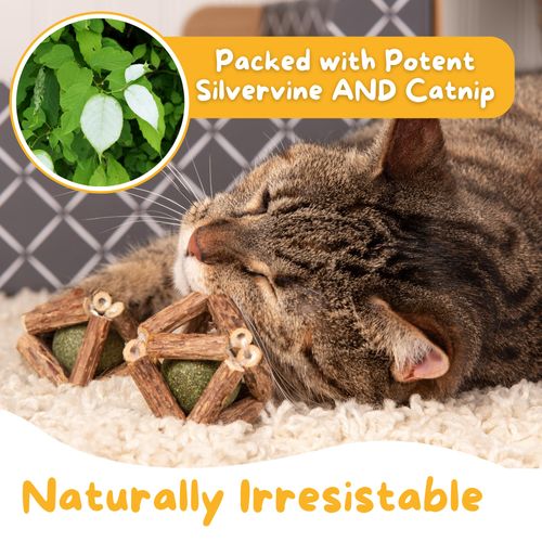 Hide & Scratch 3 Pack of Premium Silvervine and Catnip Rattle Ball Toys - All Natural, Hand-Woven Cat Chew Toys for Indoor Cats to Stimulate Play and Promote Dental Health