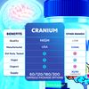Cranium Advanced Nootropic Formula Supplement Brain Health Support 120 Capsules