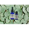 Organic Eucalyptus Essential Oil by Karafa Essentials (.5oz / 15ml / Handmade)