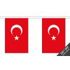 Turkey Bunting (30 flags) 9m