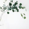 Chandini Rosemary Eucalyptus Relaxation Mist - Refreshing Blend for Tranquility