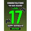 Brother 17th Birthday Card (Level Up Gamer)