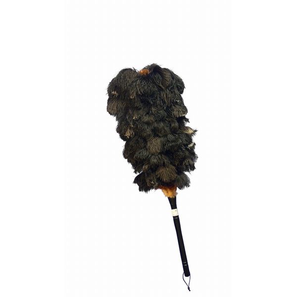 Ostrich Flutter Cherry Blossom Black