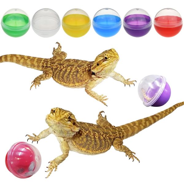 CooShou 6Pcs Lizard Bearded Dragon Feeding Toys Ball Reptile Food Toys Ball Lizard Interactive Toys for Bearded Dragon, Lizard, Gecko and Small Animals