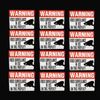 12 Home Security Camera Warning STCKERS 3x4