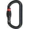 ALPIN OVALO Screw Lock Wire Diameter 12.5 Black