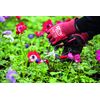 FELCO FELCO321 Model 321 Snips, Red