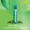 Blistex Medicated Mint Balm .15 Oz.