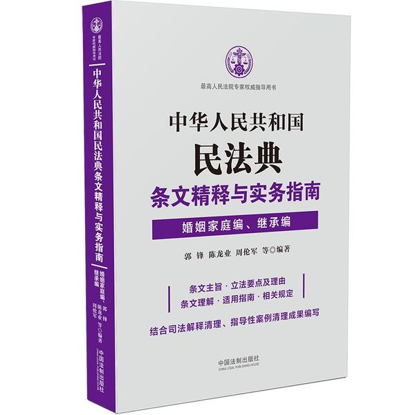 中华人民共和国民法典条文精释与实务指南：婚姻家庭编、继承编
