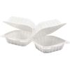 250-Pack Plastic Clamshell Take Out Food Hinged Container Heavy Duty Disposable