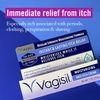 Vagisil Regular Strength Anti- Itch Creme 1 Ounce (29ml) (3 Pack)
