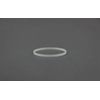 Titan Speeflo 700-821 or 700821 Teflon P-Ring/Seal